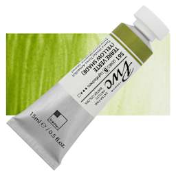 PWC Extra Fine Professional Watercolor - Terre Verte Yellow Shade, 15 ml, Tube and swatch