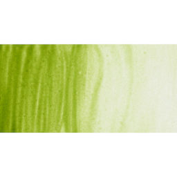 PWC Extra Fine Professional Watercolor - Terre Verte Yellow Shade swatch