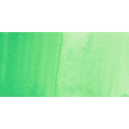 PWC Extra Fine Professional Watercolor - Green Pale swatch