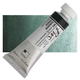 PWC Extra Fine Professional Watercolor - Shadow Green, 15 ml, Tube and swatch