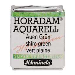 Schmincke Horadam Aquarell Artist Watercolor - Shire Green, Supergranulation, Half Pan