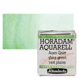 Schmincke Horadam Aquarell Artist Watercolor - Shire Green, Supergranulation, Half Pan and swatch