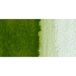 Schmincke Horadam Aquarell Watercolor - Olive Green Yellowish, Swatch