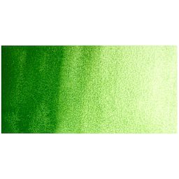 Beam Paints Watercolor Paintstone - Pine swatch