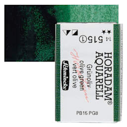Schmincke Horadam Aquarell Watercolor - Olive Green, Full Pan and swatch