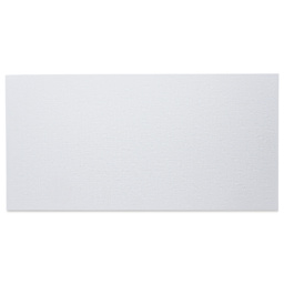 Winsor & Newton Professional Artists’ Canvas Board - 8" x 16" front