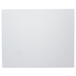 Winsor & Newton Professional Artists’ Canvas Board - 16" x 20" front
