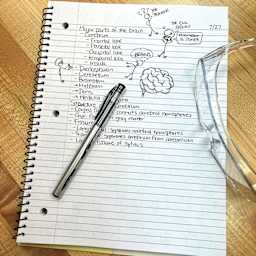 Roaring Spring Doodlewrite Spiral Notebook - 8-1/2" x 11", Ruled, 60 Sheets, on desk