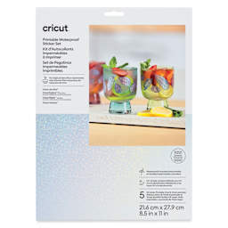 Cricut Printable Waterproof Sticker Set - Transparent, 8-1/2" x 11", Pkg of 5 front of packaging