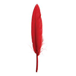John Bead Duck Quill Feathers - Multicolor Mix - single red feather