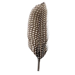 John Bead Guinea Fowl Quill Feathers - White - single feather