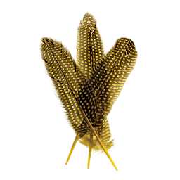 John Bead Guinea Fowl Quill Feathers - Yellow