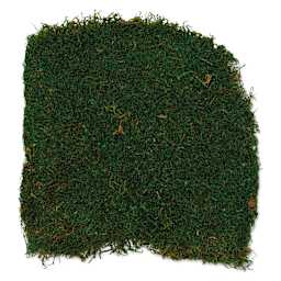 SuperMoss Preserved Sheet Moss