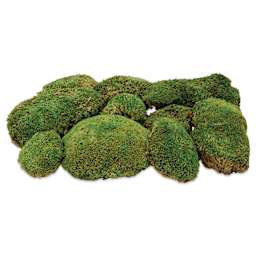 SuperMoss Preserved Topa Moss - side view