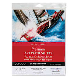 Stillman & Birn Alpha Series Art Paper - 8" x 10", front of the packaging
