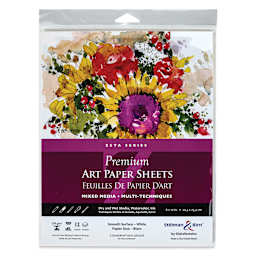 Stillman & Birn Zeta Series Art Paper - 8" x 10", front of the packaging