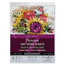 Stillman & Birn Zeta Series Art Paper - 11" x 14", front of the packaging