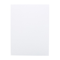 Art Alternatives Canvas Panel, 12 in x 16 in
