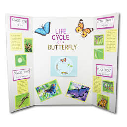Corrugated Project Display Boards White - 36" x 48" Corrugated
