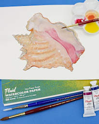 Bundle Conch