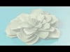 Sizzix Framelits Dies by David Tutera - Succulent