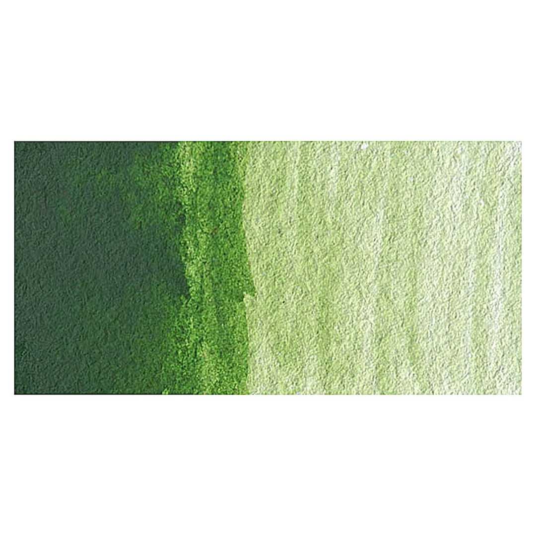 Open in modal - Grumbacher Academy Watercolor - Hooker's Green Light Hue swatch