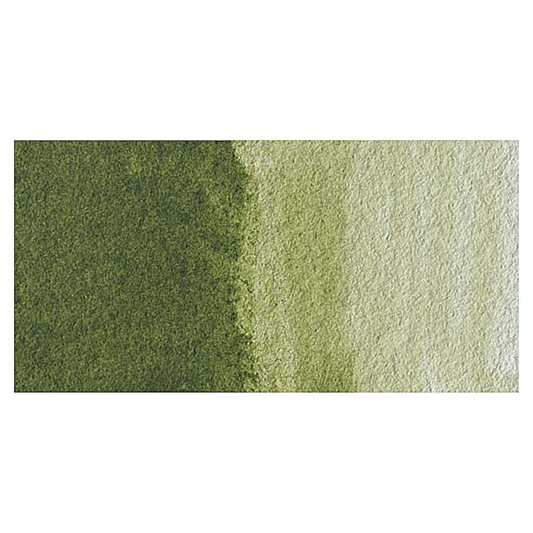 Open in modal - Grumbacher Academy Watercolor - Sap Green swatch