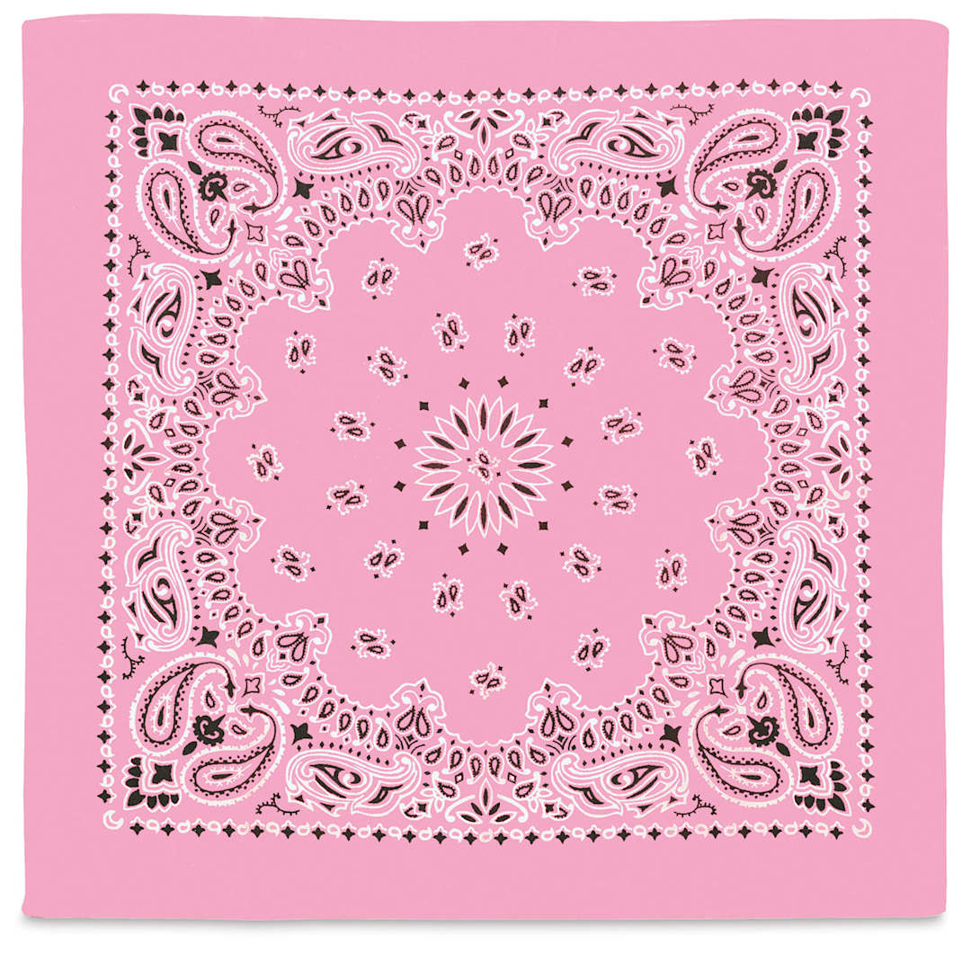 Open in modal - Carolina Paisley Bandana - Pink