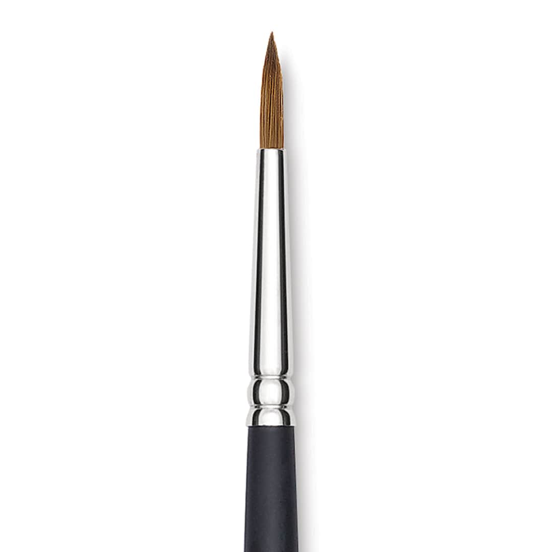 Open in modal - Blick Masterstroke Finest Red Sable Brush - Round, Size 8, Long Handle close-up