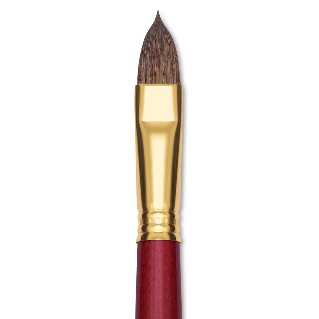 Open in modal - Blick Master Synthetic Kolinsky Brush - Short Handle, Filbert, Size 16, close-up