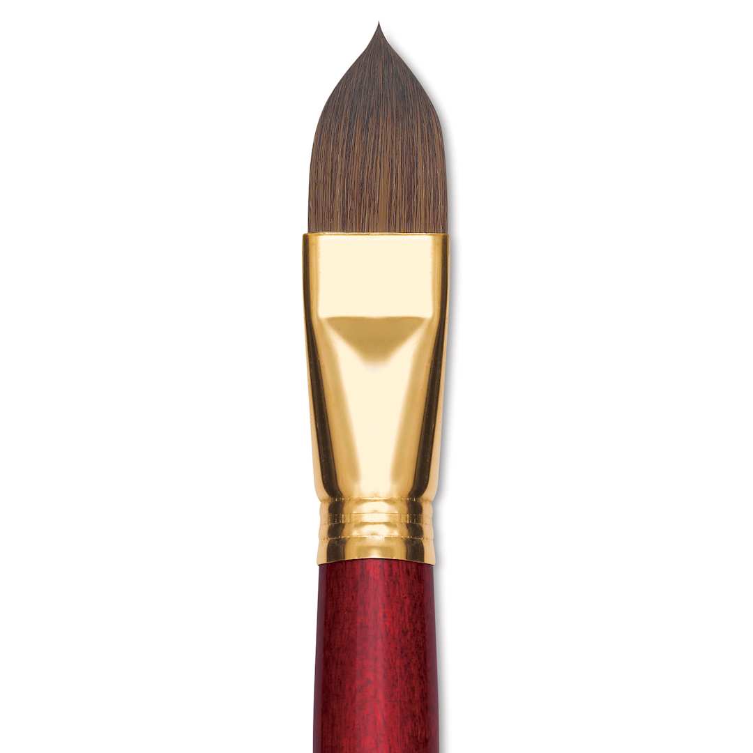 Open in modal - Blick Master Synthetic Kolinsky Brush - Short Handle, Filbert, Size 24, close-up