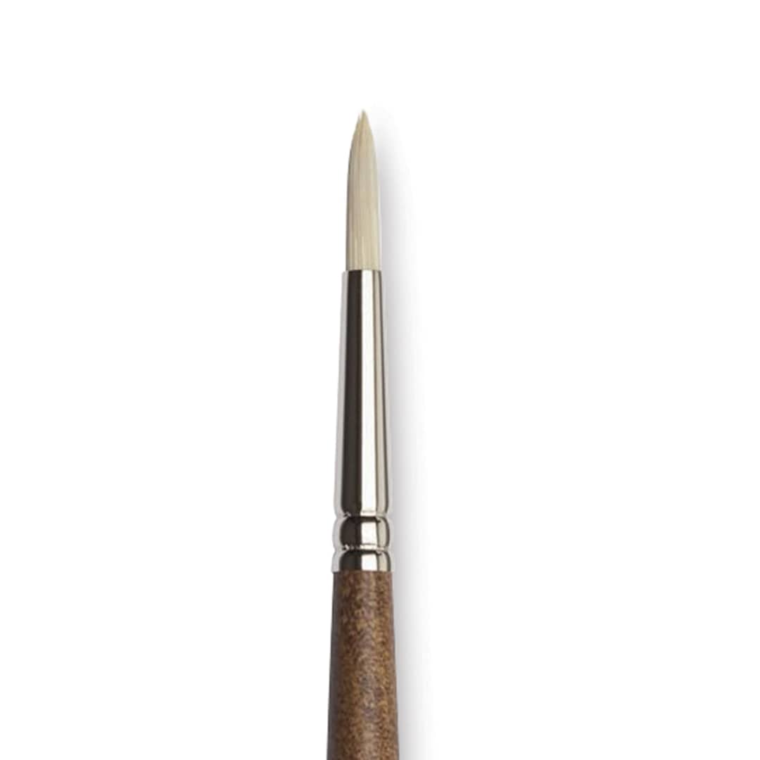 Open in modal - Winsor & Newton Artists' Oil Synthetic Hog Brush - Round, Size 3, Long Handle (close-up)
