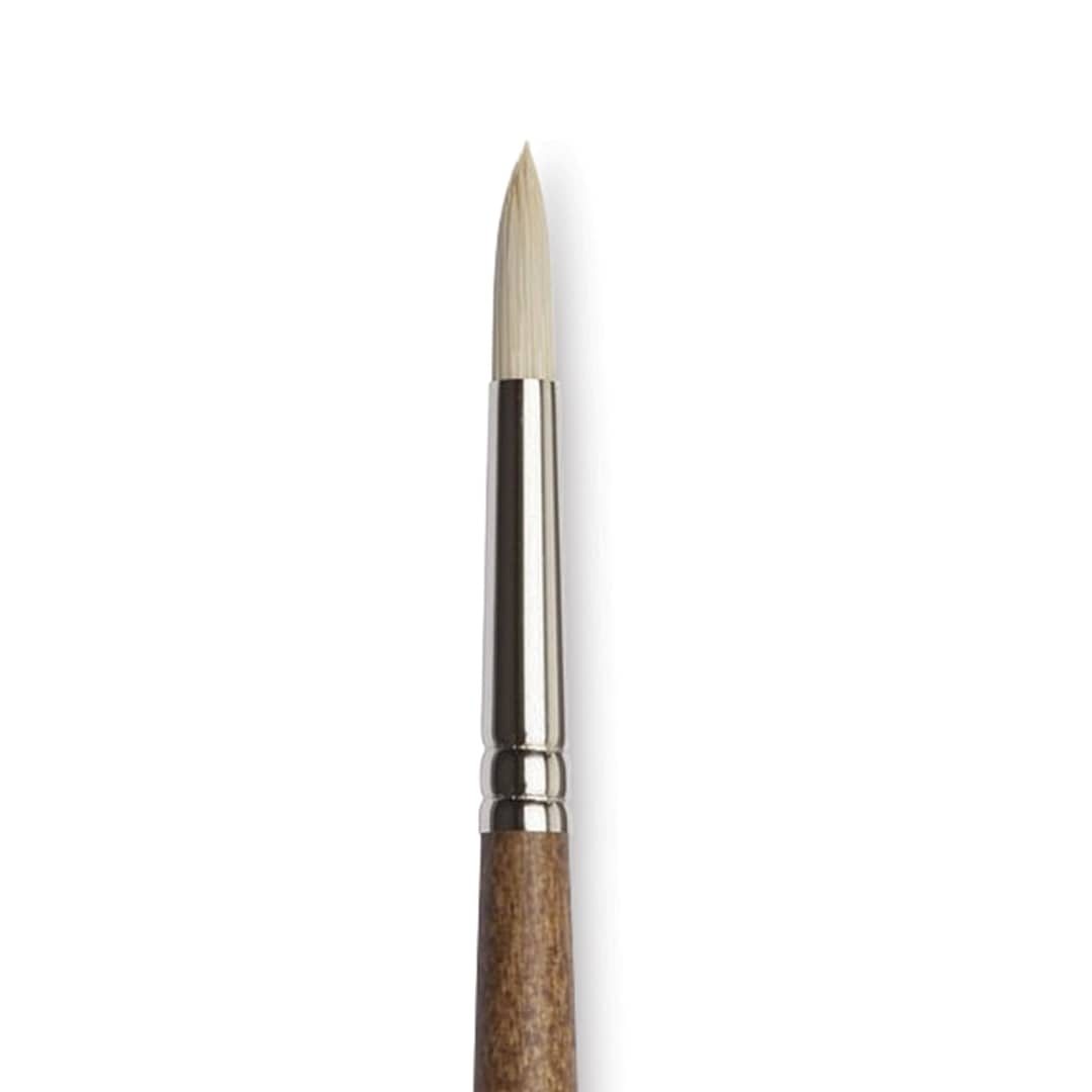 Open in modal - Winsor & Newton Artists' Oil Synthetic Hog Brush - Round, Size 4, Long Handle (close-up)