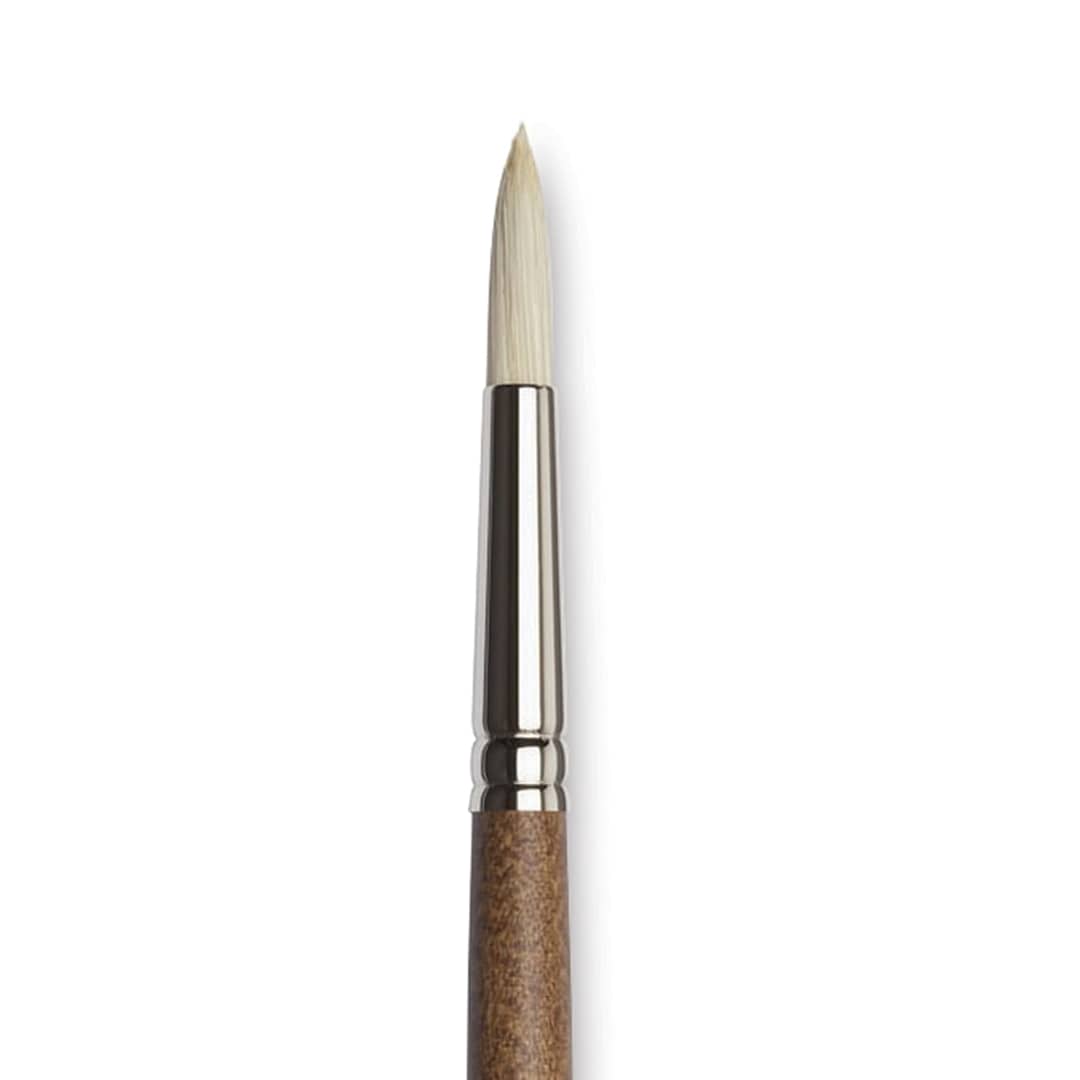 Open in modal - Winsor & Newton Artists' Oil Synthetic Hog Brush - Round, Size 6, Long Handle (close-up)