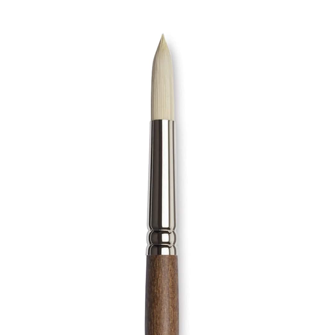 Open in modal - Winsor & Newton Artists' Oil Synthetic Hog Brush - Round, Size 10, Long Handle (close-up)