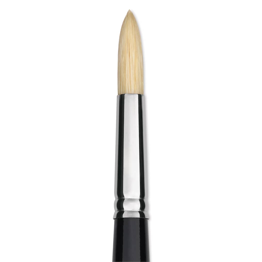 Open in modal - Trekell Hog Bristle Brush - Round, Long Handle, Size 10, close up