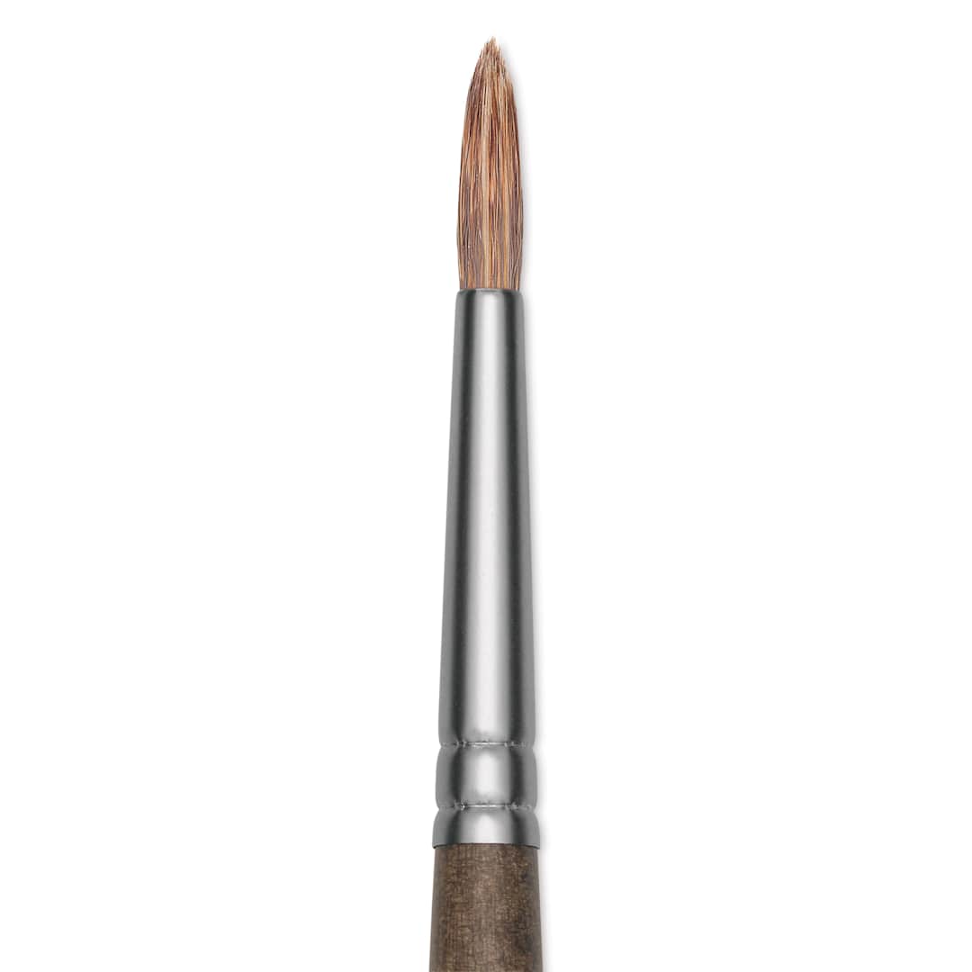 Open in modal - Princeton Pro Series 6000 Brush - Round, Long Handle, Size 0, close up
