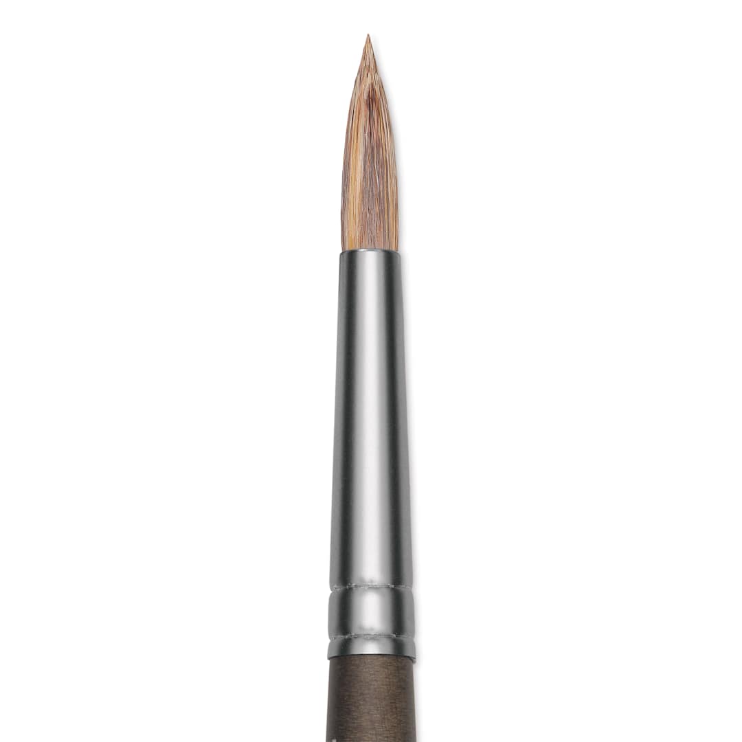 Open in modal - Princeton Pro Series 6000 Brush - Round, Long Handle, Size 4, close up