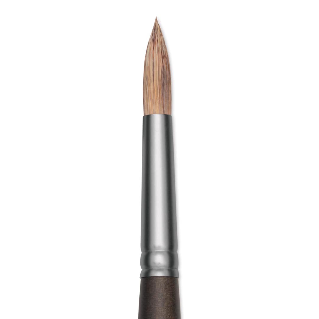 Open in modal - Princeton Pro Series 6000 Brush - Round, Long Handle, Size 6, close up