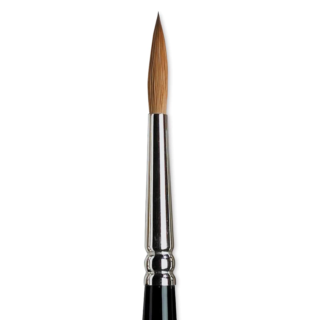 Open in modal - Winsor & Newton Series 7 Kolinsky Sable Brush - Pointed Round, Size 5 close-up