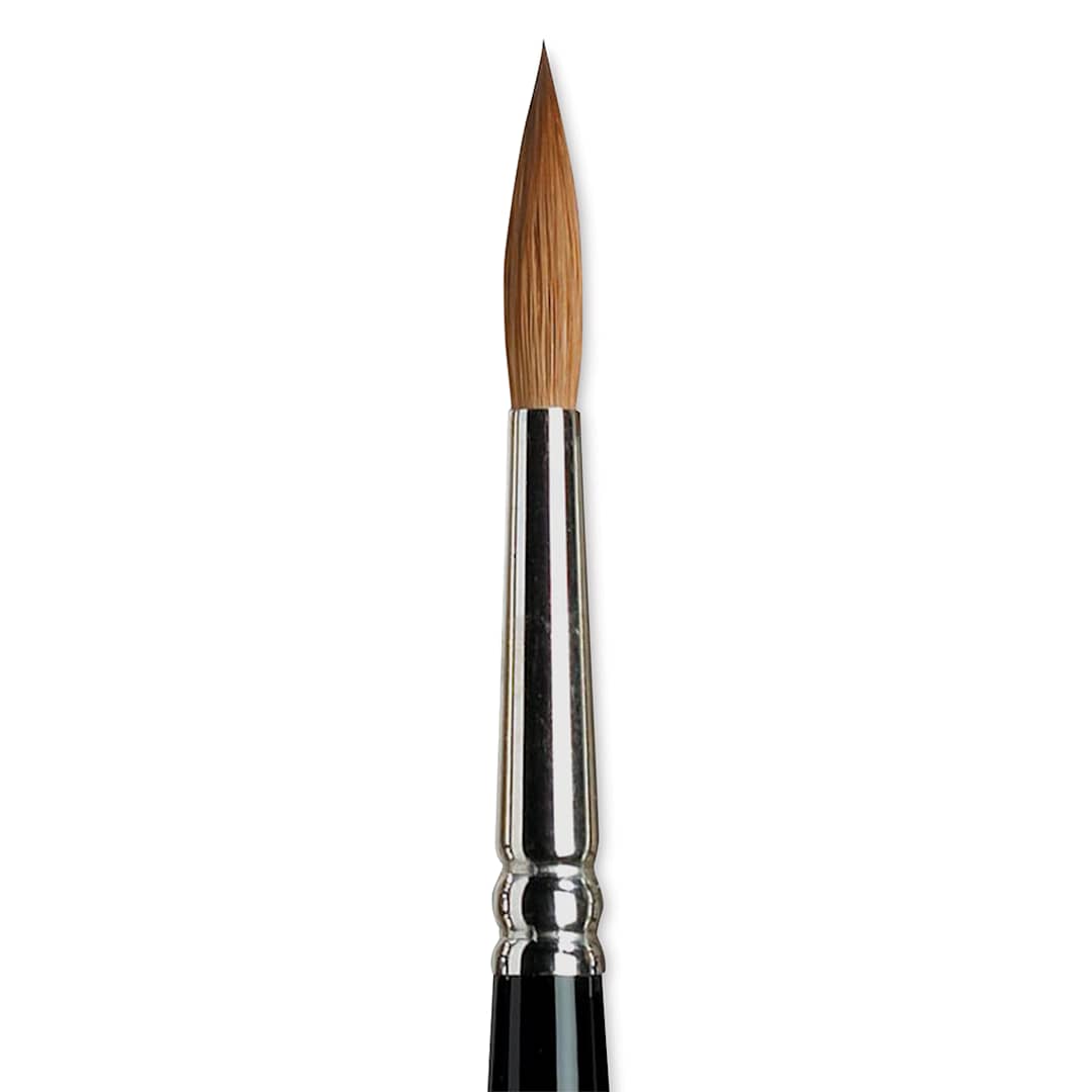 Open in modal - Winsor & Newton Series 7 Kolinsky Sable Brush - Pointed Round, Size 6 close-up
