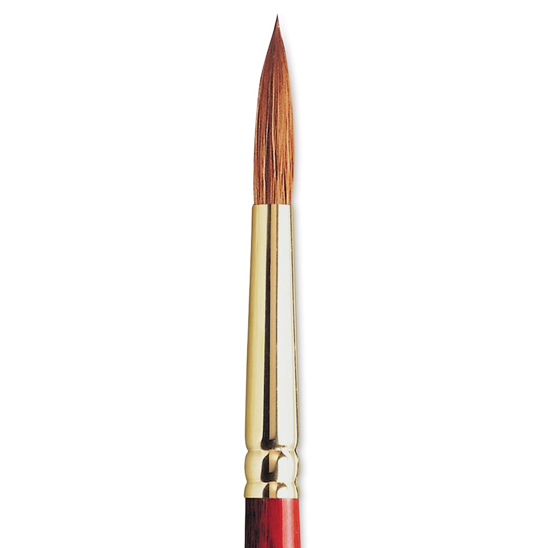 Open in modal - Winsor & Newton Sceptre Gold II Brush - Pointed Round, Short Handle, Size 8