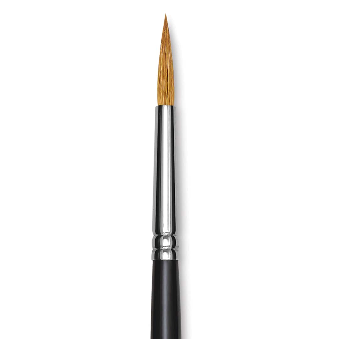 Open in modal - Blick Pointed Scholastic Brush - Round, Short Handle, Size 7 close-up