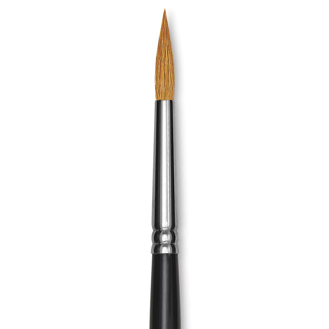 Open in modal - Blick Pointed Scholastic Brush - Round, Short Handle, Size 8 close-up