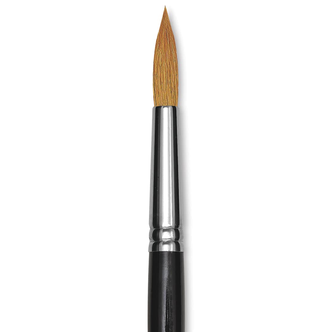 Open in modal - Blick Pointed Scholastic Brush - Round, Short Handle, Size 12 close-up