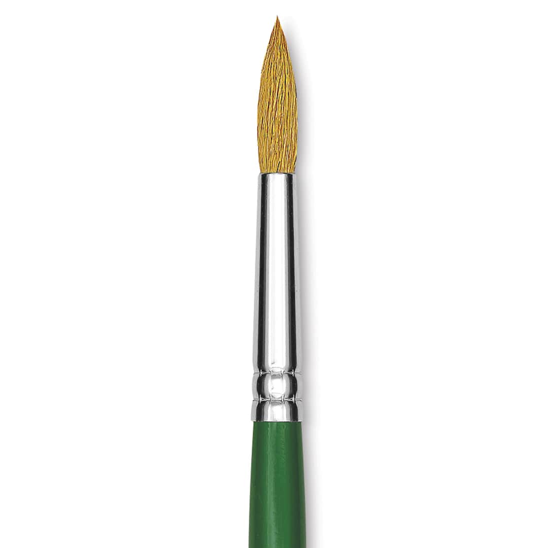 Open in modal - Blick Economy Sable Brush - Round, Size 8 close-up
