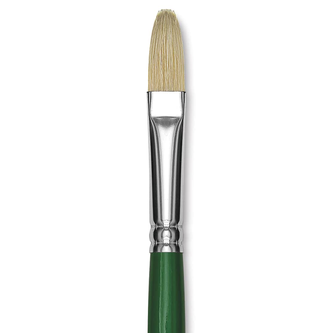 Open in modal - Blick Economy White Bristle Brush - Filbert, Size 14 close up