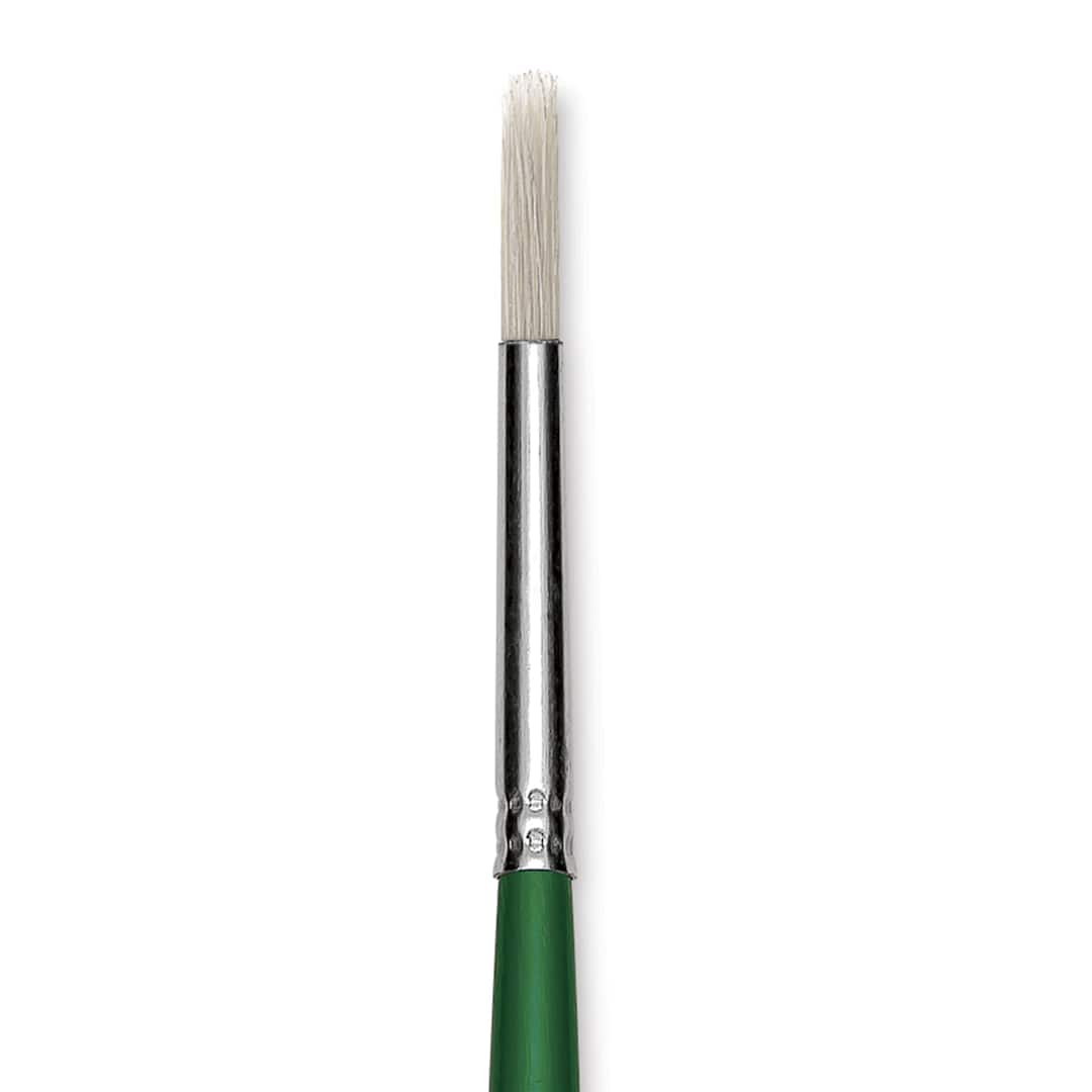 Open in modal - Blick Economy White Bristle Brush - Round, Size 6 close up