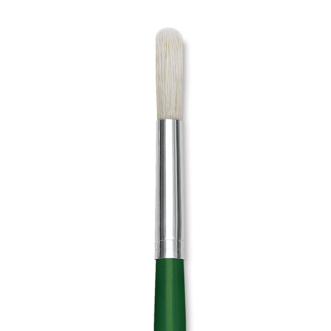 Open in modal - Blick Economy White Bristle Brush - Round, Size 14 close up