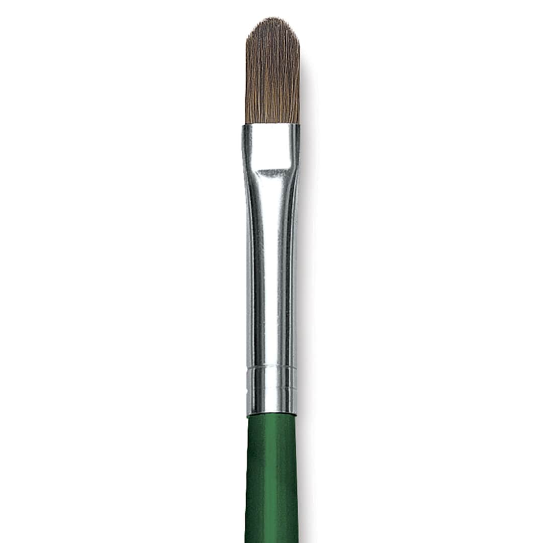 Open in modal - Blick Economy Sable Brush - Filbert, Long Handle, Size 8 close up